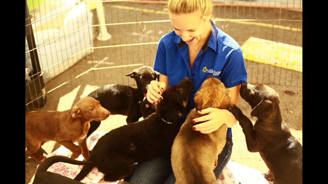 Kopp greets a litter of rambunctious puppies at the San Diego Humane Society in 2010.