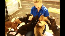 Shannon greeting a litter of rambunctious puppies at the San Diego Humane Society (2010)