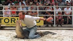 An alligator wrestler pleases the crowd June 24, 2000 at 'Gator Land's' main attraction in Orlando, FL.