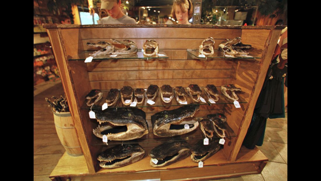 Alligator heads are displayed at the Gatorland gift shop in 2000.