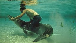A man wrestles an alligator underwater at the Reptile Institute, Silver Springs, Florida.