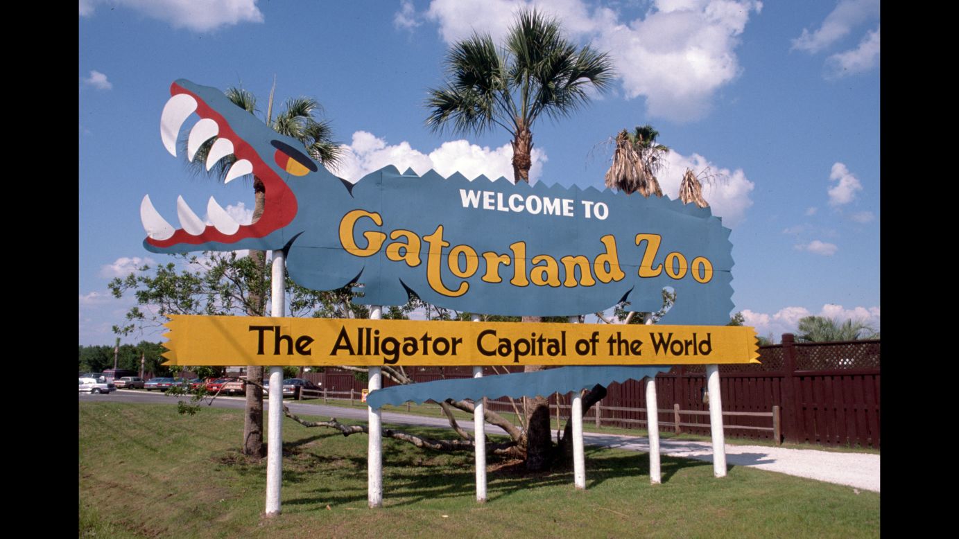 Gatorland bills itself as the Alligator Capital of the World, with thousands of gators that people can see. 