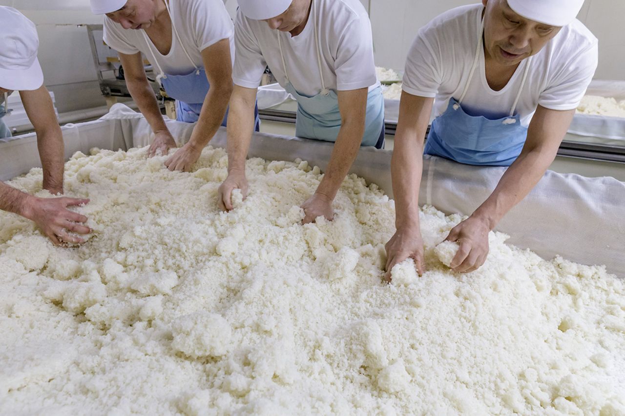 Brewers are making koji, a culture used for the saccharification of rice that influences the quality of the sake. Koji is then sprinkled on cooked rice.
