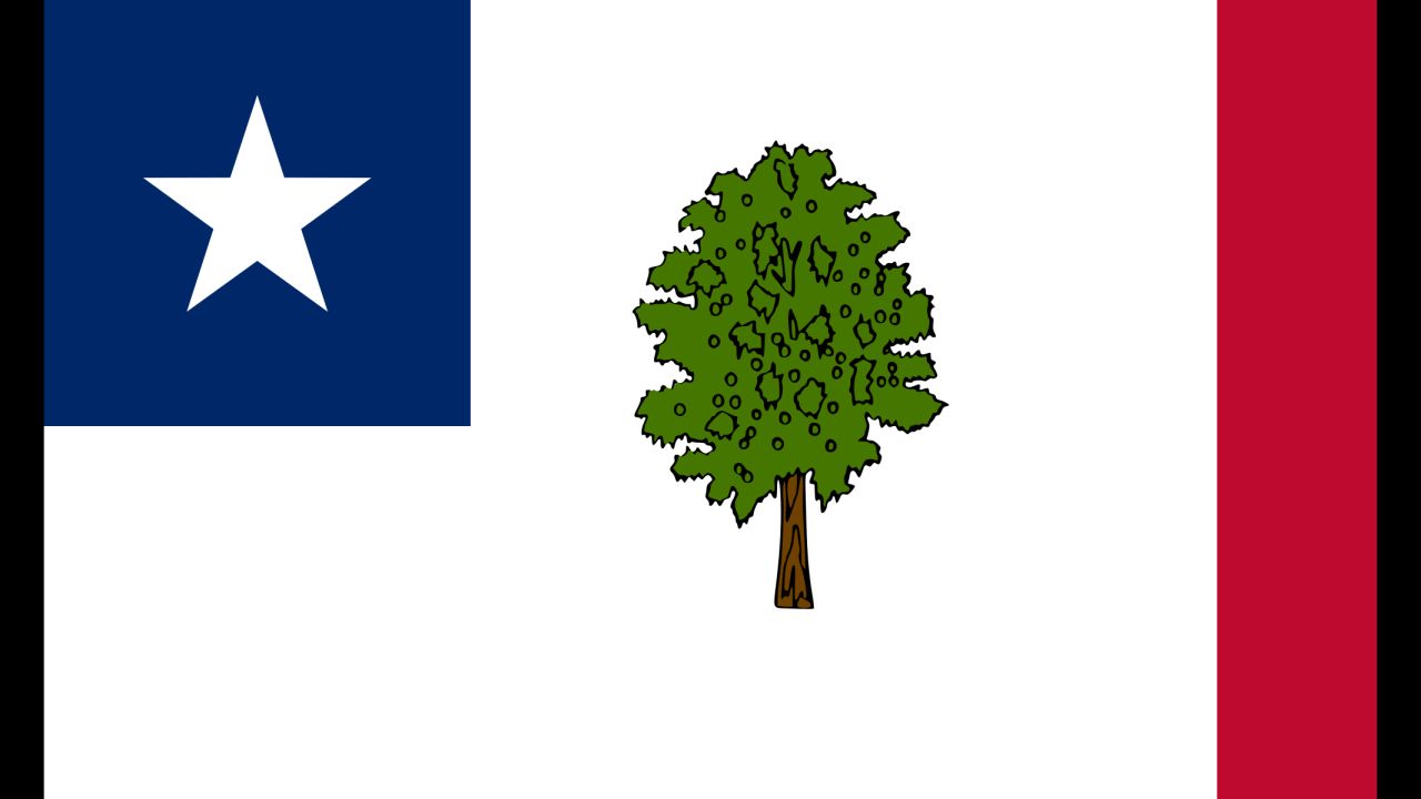 The Magnolia flag was Missippi's state flag from 1891 to 1894.