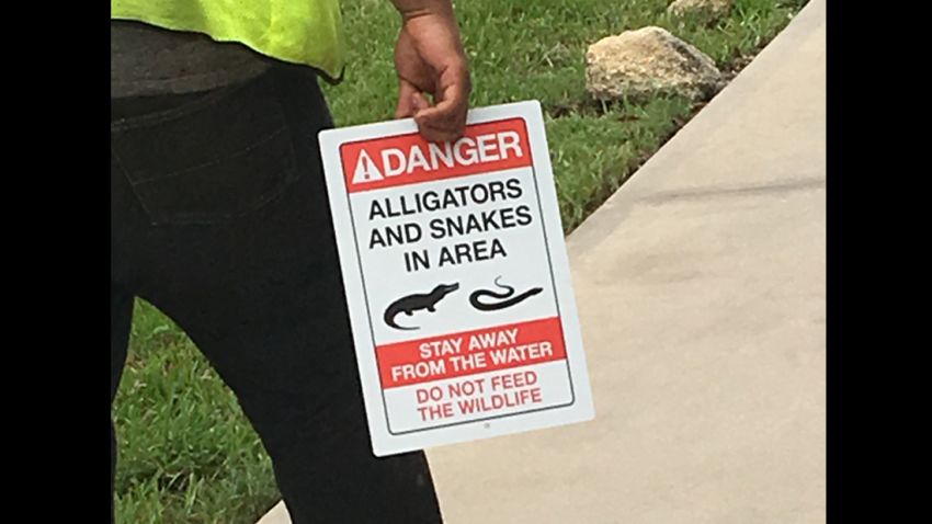 A CNN producer took this photo of a Disney worker carrying new signs around Seven Seas Lagoon.