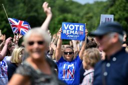 A "Remain" demonstrator in Hyde Park, London.