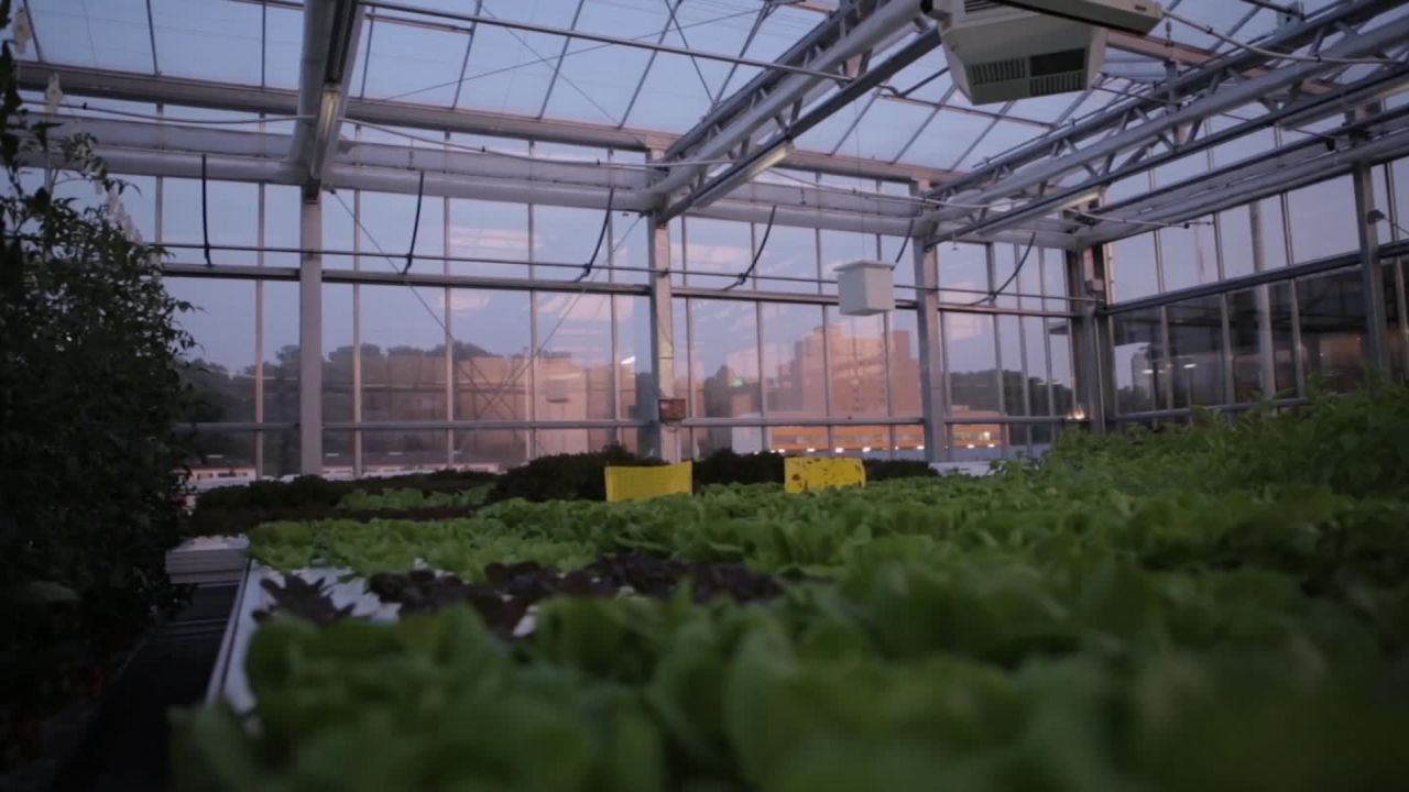 Urban Farmers_00010020.jpg