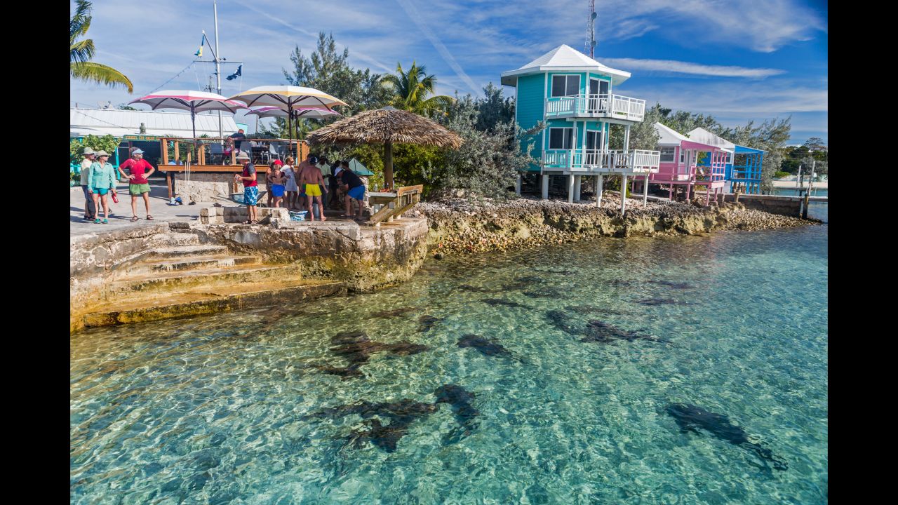  A stop for supplies at Staniel Cay in the early afternoon means the fishing boats have returned after a day's work. You'll be able to watch them clean their catch, attracting nurse sharks, stingrays and a plethora of hungry fish.