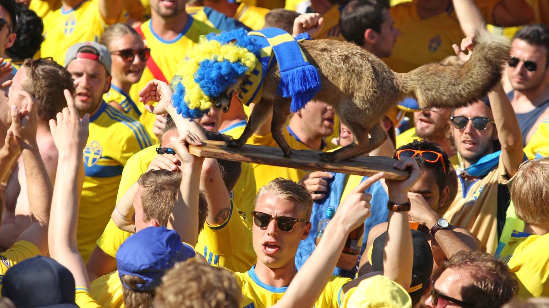 A Sweden supporter holds a stuffed fox before the match.
