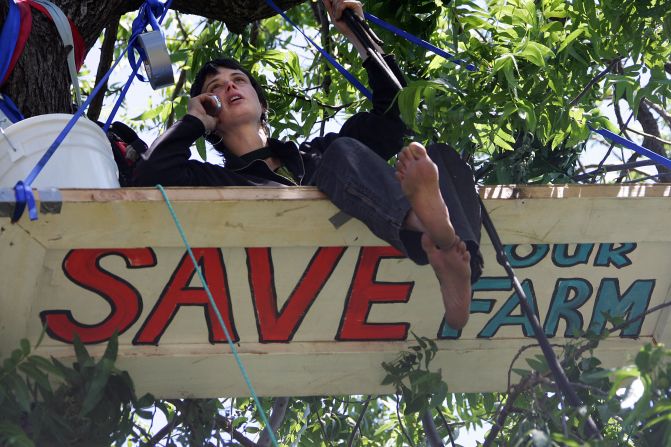 In 1997, environmental activist Julia Hill began a two-year sit-in, <a >living in a California redwood tree</a> to protest logging. Here, she is pictured in a similar 2006 effort.