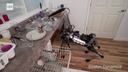 robotic dog Boston Dynamics