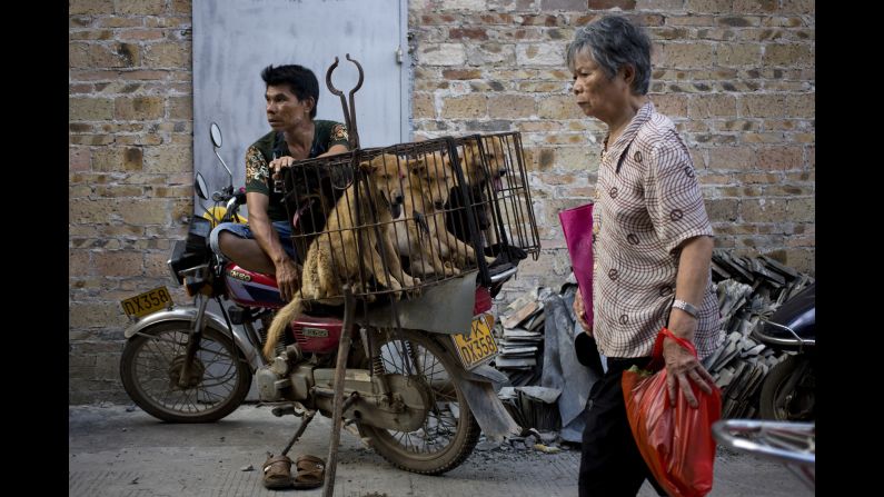 A woman walks past a vendor during <a href="http://www.cnn.com/videos/world/2016/06/20/dog-meat-festival-china-orig.cnn" target="_blank">a dog meat festival</a> in Yulin, China, on Tuesday, June 21. Animal rights activists are working to end what they call a cruel and unsanitary ritual. <a href="http://www.cnn.com/2015/06/18/opinions/china-yulin-dog-festival-peter-li/" target="_blank">Related: Dog meat trade divides China</a>
