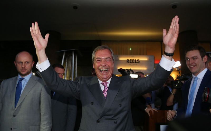 NIGEL FARAGE 8 inch TEDDY BEAR European Referendum UKIP MEP 