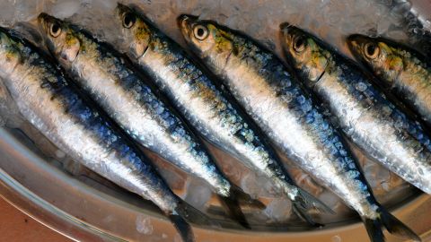 Fresh sardines abound in summer.
