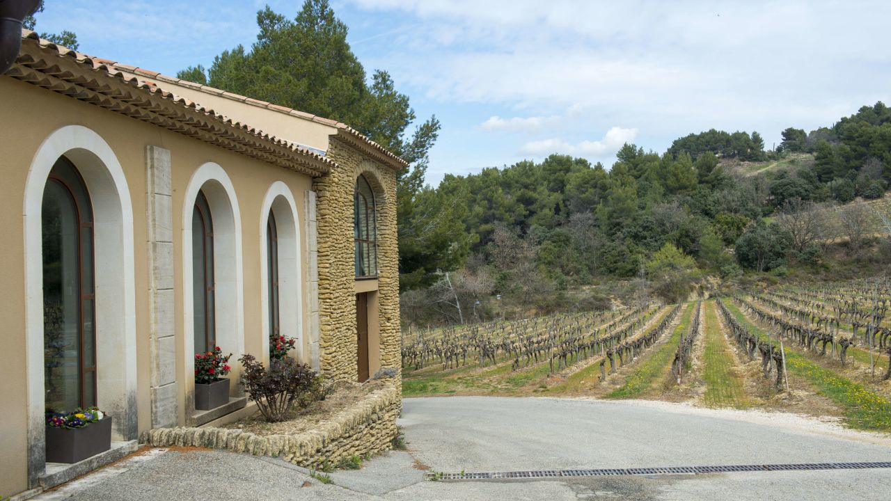 French vineyards have become popular with mainland Chinese buyers.