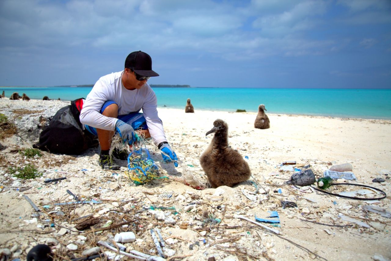 There are different ideas about how to address the crisis. The <a href="http://www.noaa.gov" target="_blank" target="_blank">U.S. National and Atmospheric Association</a> favors beach cleaning and public education at local level, combined with challenging policymakers and plastic producers to promote conservation.