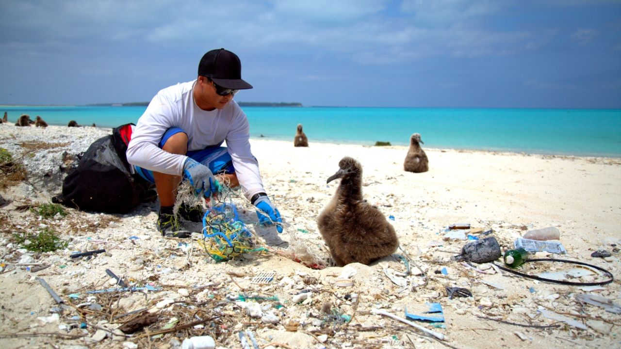 NOAA beach cleaning operation in Hawaii.