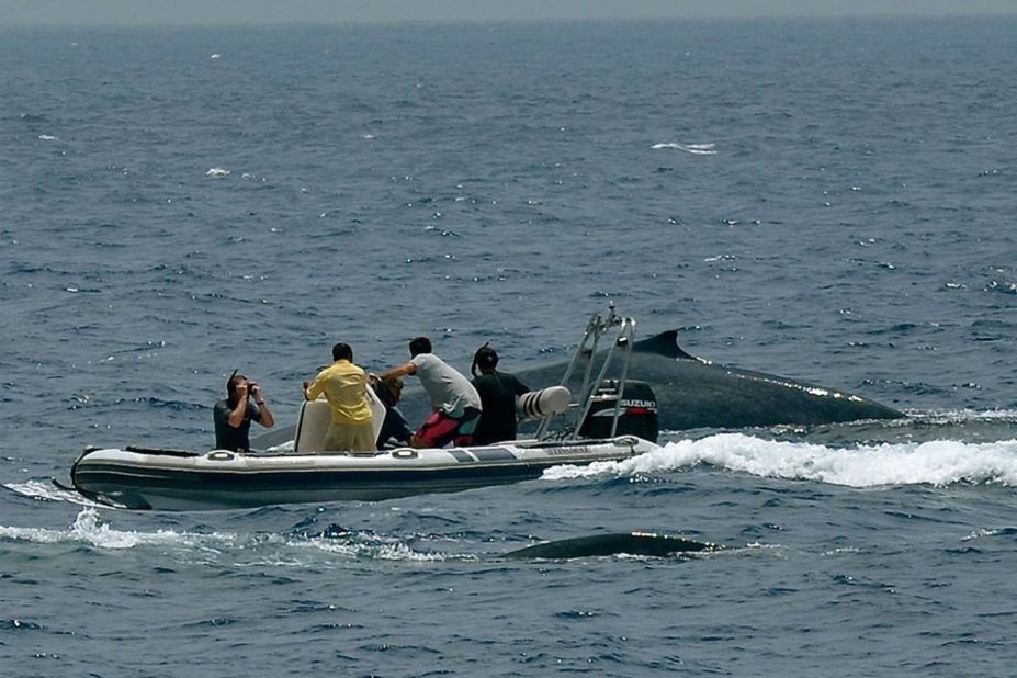 British producer Jo Ruxton and her team spent four years documenting the effects of plastic pollution for the documentary "A Plastic Ocean." She hopes the film will challenge people and societies to stop thinking of the material as disposable.