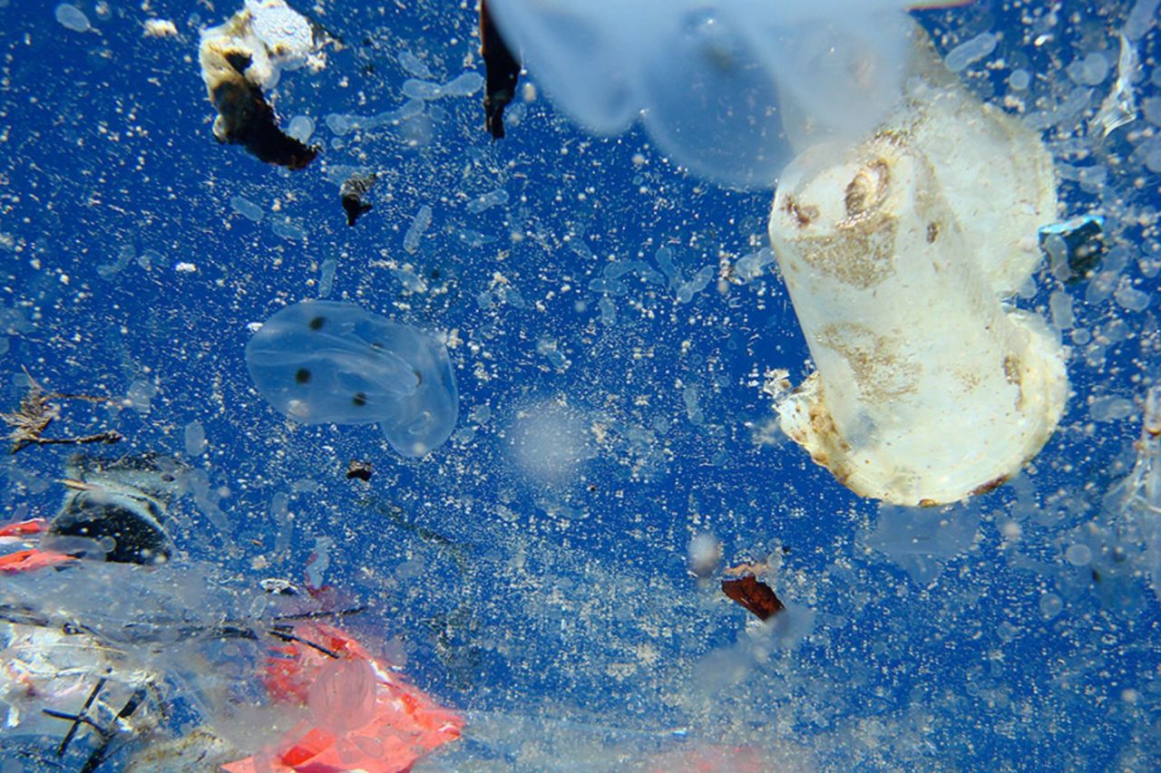 By 2050, there could be more plastic in the sea than fish (by weight), according to the Ellen MacArthur Foundation.
