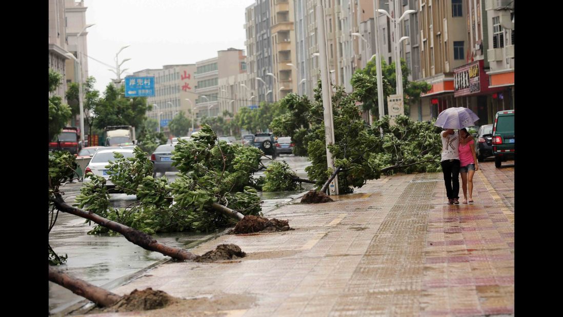 Trees torn down by strong wind collapse on the road in Jinjiang, east China's Fujian province on August 8, 2015 as typhoon Soudelor draws near the mainland of China. Typhoon Soudelor battered Taiwan with fierce winds and rain, leaving four people dead and a trail of debris in its wake as it takes aim at mainland China.  