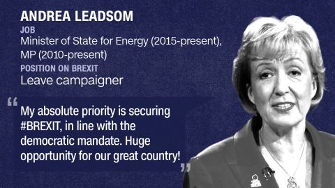Tory leader candidate cards_Leadsom