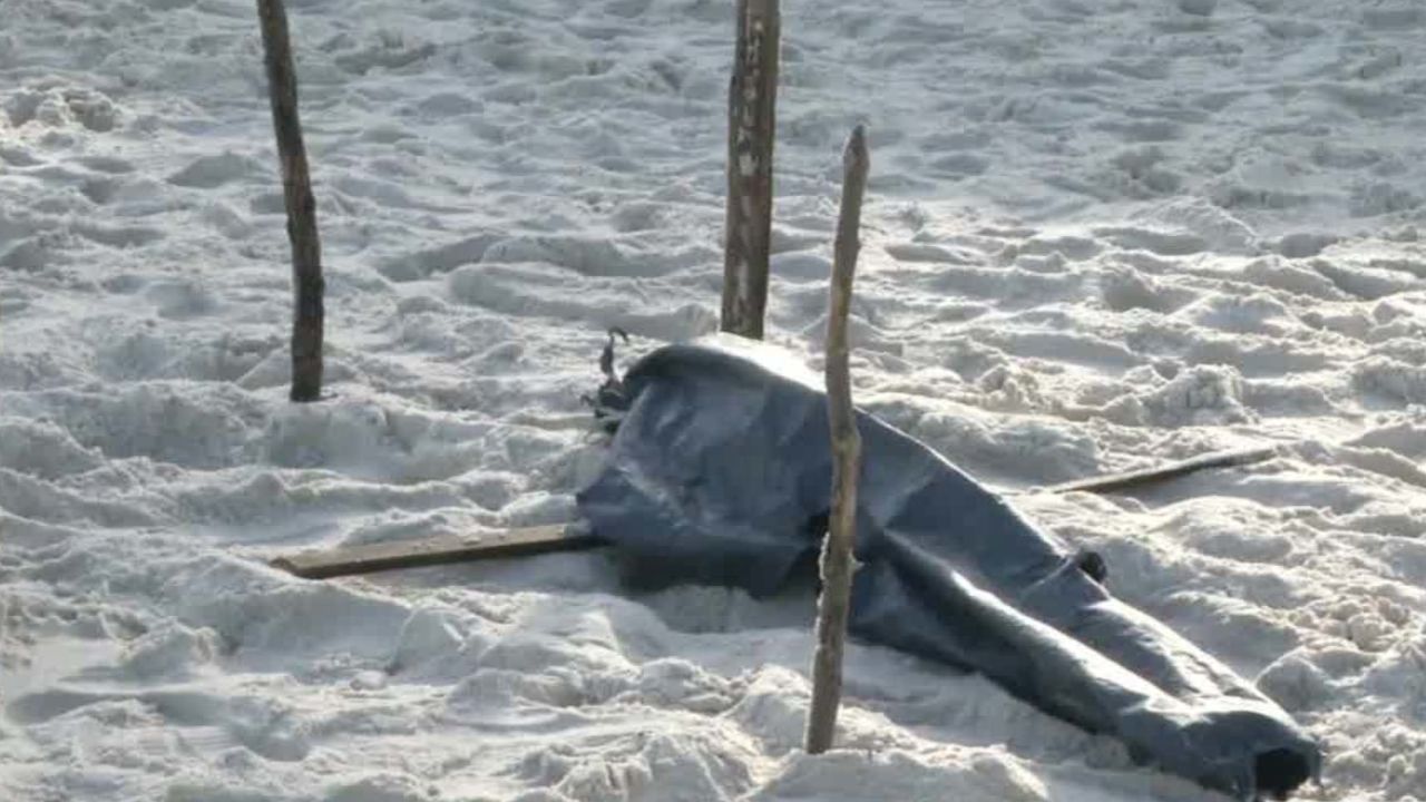 body parts found near olympic site arwa lklv_00003823.jpg
