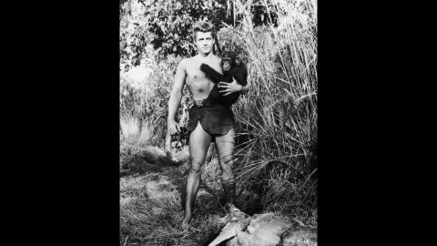 The super buff American actor Gordon Scott did six Tarzan films for RKO in five years before going on to play Hercules and other shirtless characters in a series of sword-and-sandals flicks. Here he is in  1955's "Tarzan's Hidden Jungle," filmed on location in California.