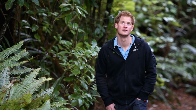 <strong>Ulva Island, New Zealand: </strong>Britain's Prince Harry visited the open wildlife sanctuary of Ulva Island on a trip to New Zealand in 2015. No invasive animals or pests live in these forests and visitors have to follow strict biosecurity standards. 