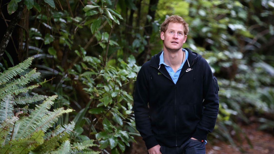 <strong>Ulva Island, New Zealand: </strong>Britain's Prince Harry visited the open wildlife sanctuary of Ulva Island on a trip to New Zealand in 2015. No invasive animals or pests live in these forests and visitors have to follow strict biosecurity standards. 
