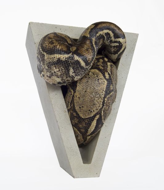 Polly Morgan used taxidermy for her sculpture, combining Alex's snake in "A Clockwork Orange" and the Brutalist architecture of his surroundings into a work with a violent sexual subtext.
