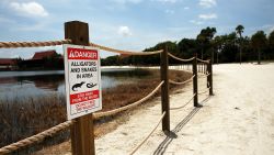ORLANDO, FL - JUNE 18:  Newly installed signs warn of alligators and snakes on a closed section of beach following the death of a 2-year-old boy who was killed by an alligator near a Walt Disney World hotel on June 18, 2016 in Orlando, Florida. Lane Graves, who was visiting Disney World with his family from Nebraska, died after he was pulled into the lagoon by an alligator on Tuesday.  (Photo by Spencer Platt/Getty Images)