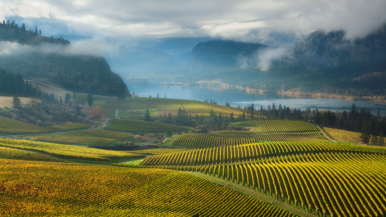 Lakes like Vaseux (in the picture) shield Okanagan's soils from extreme climates, making it an ideal spot for hardy vines to grow.