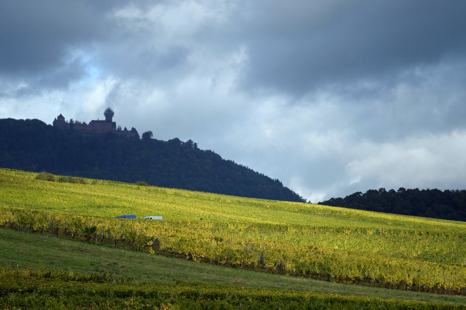 Fields of vineyards lie beneath Haut-Koenigsbourg Castle, one of the most important chateaus in France's Alsace region.