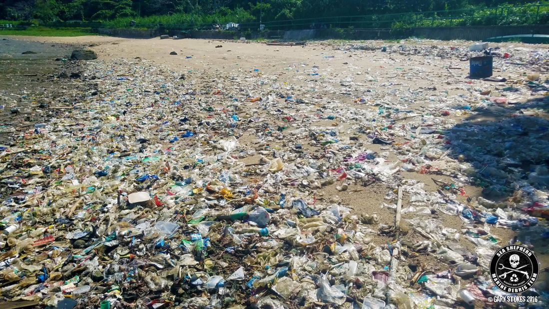Environmentalists say the amount of trash is "unprecedented." 