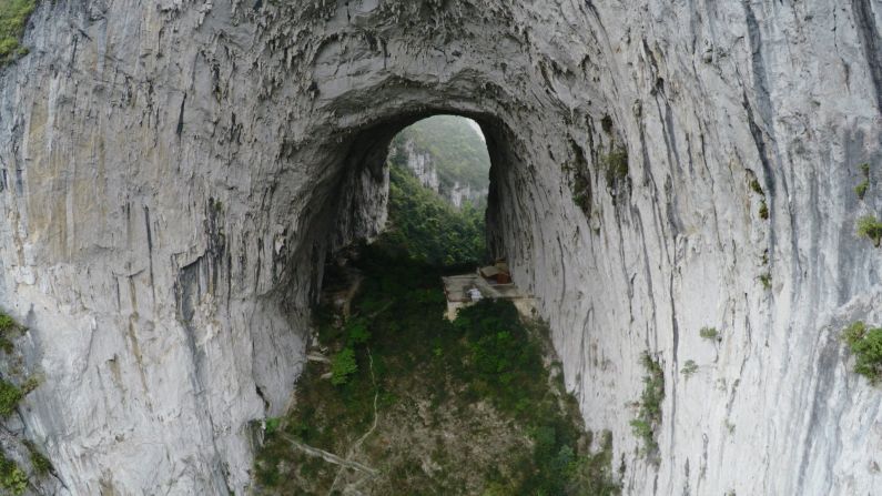 Underneath the arch, wild banana plants and rare bamboo thrive in the damp and shady conditions. 