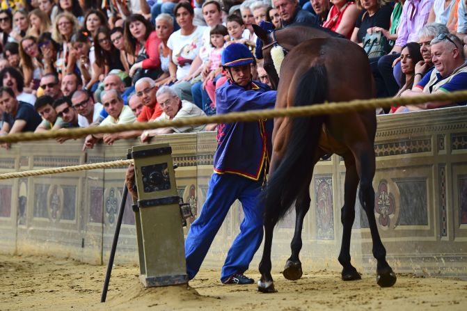 Jockeys can use whips not only on their own horse, but also to disrupt a rival horse.