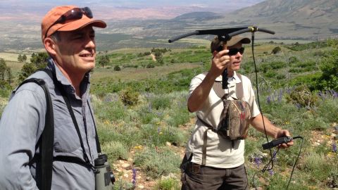 GPS devices help researchers track the herd.