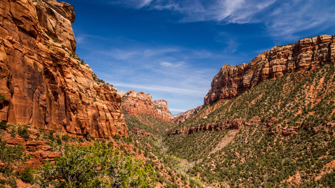 Zion National Park is often the first stop for visitors on the Grand Circle tour of national parks in Utah and Arizona. The National Park Service offers a shuttle service within the park, so you don't have to worry about finding parking at trailheads or viewing locations.