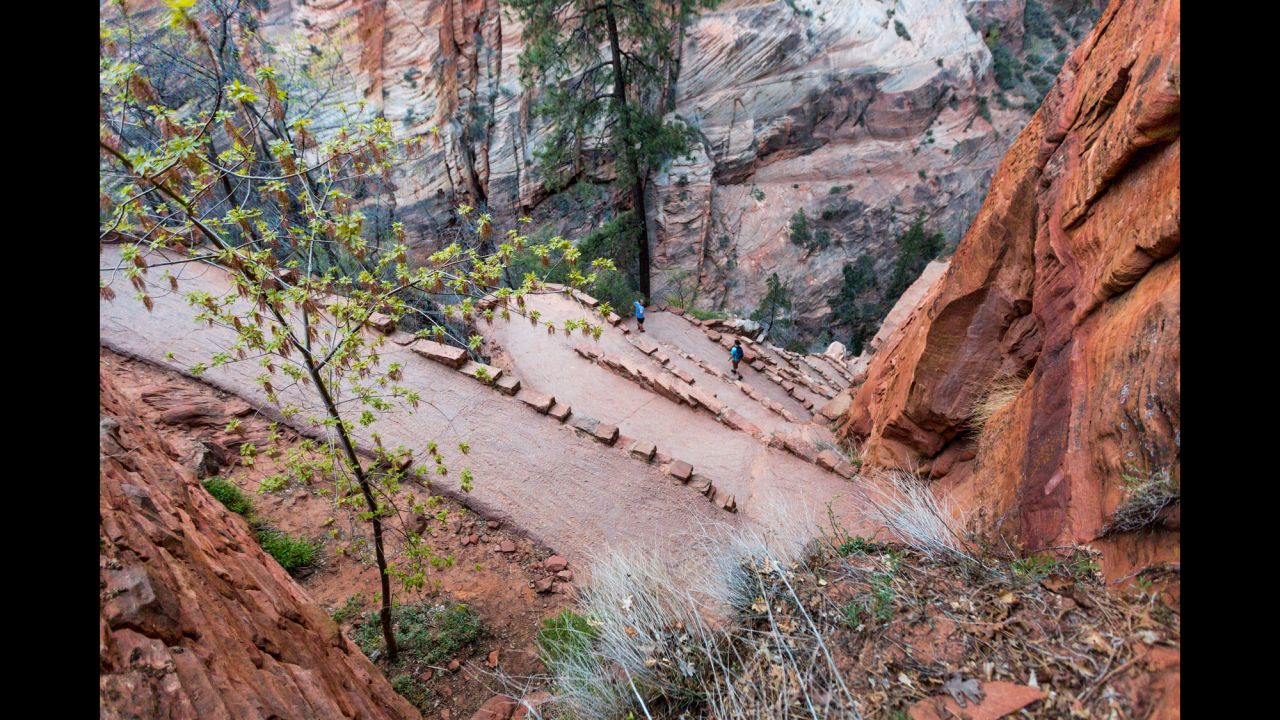 The strenuous hike to Angels Landing is about a five-mile round trip from the Grotto parking lot shuttle stop. During your ascent to Angels Landing along the West Rim Trail, you'll encounter several steep switchbacks known as Walter's Wiggles.