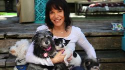 Sherri Franklin started Muttville in 2007 out of her home to help aging dogs get adopted into loving homes