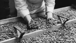February 1937:  A tray of nuts at the Meltis chocolate factory in Bedford.  (Photo by Fox Photos/Getty Images)
