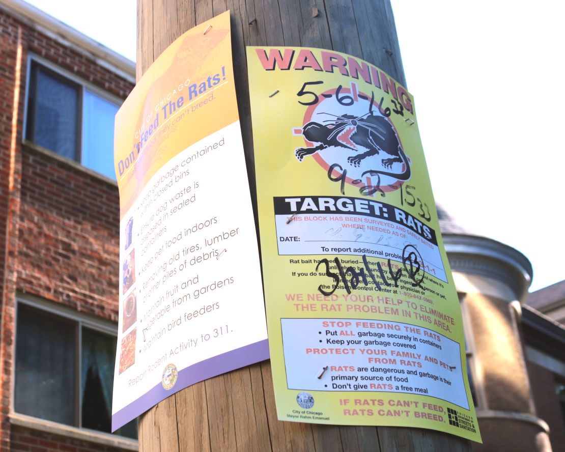 Rat warning signs went up across Chicago as complaints skyrocketed.