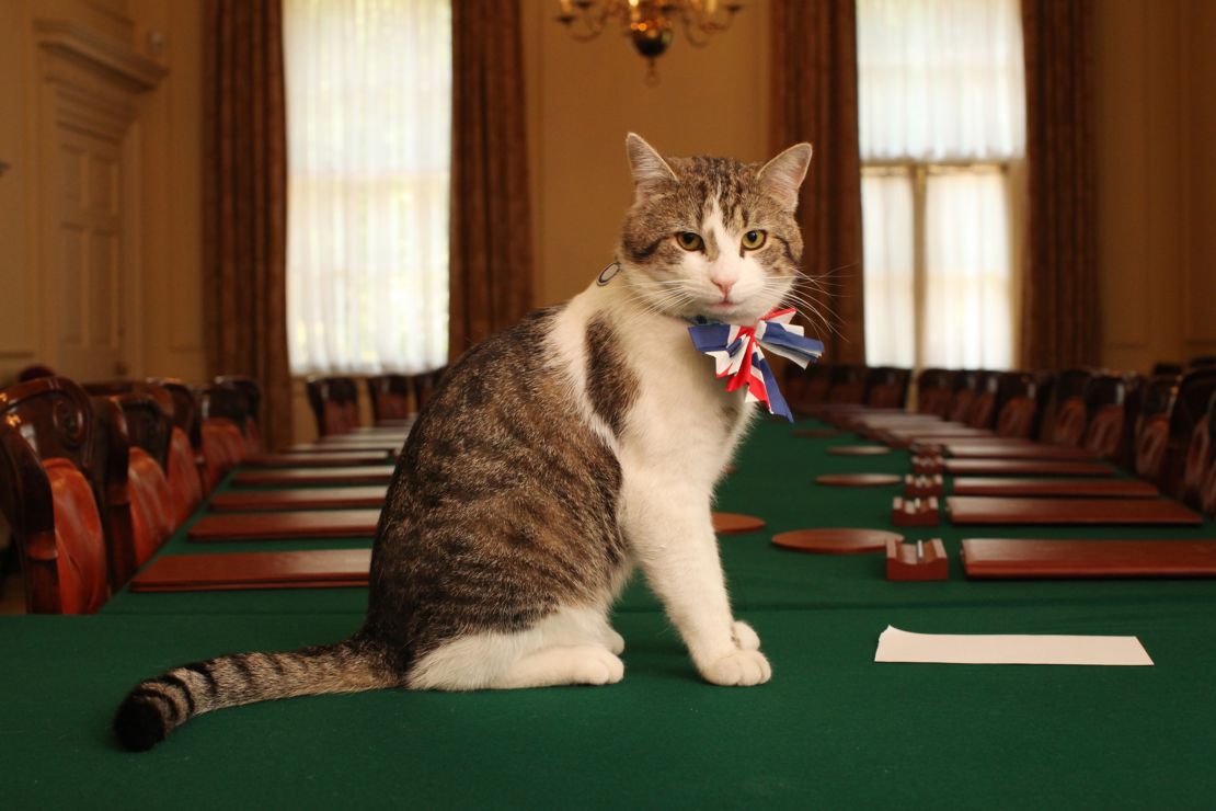Britain might be leaving the EU, but Larry is remaining at Downing Street.