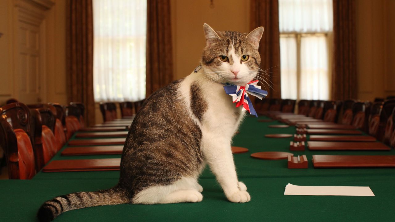 Britain might be leaving the EU, but Larry is remaining at Downing Street.