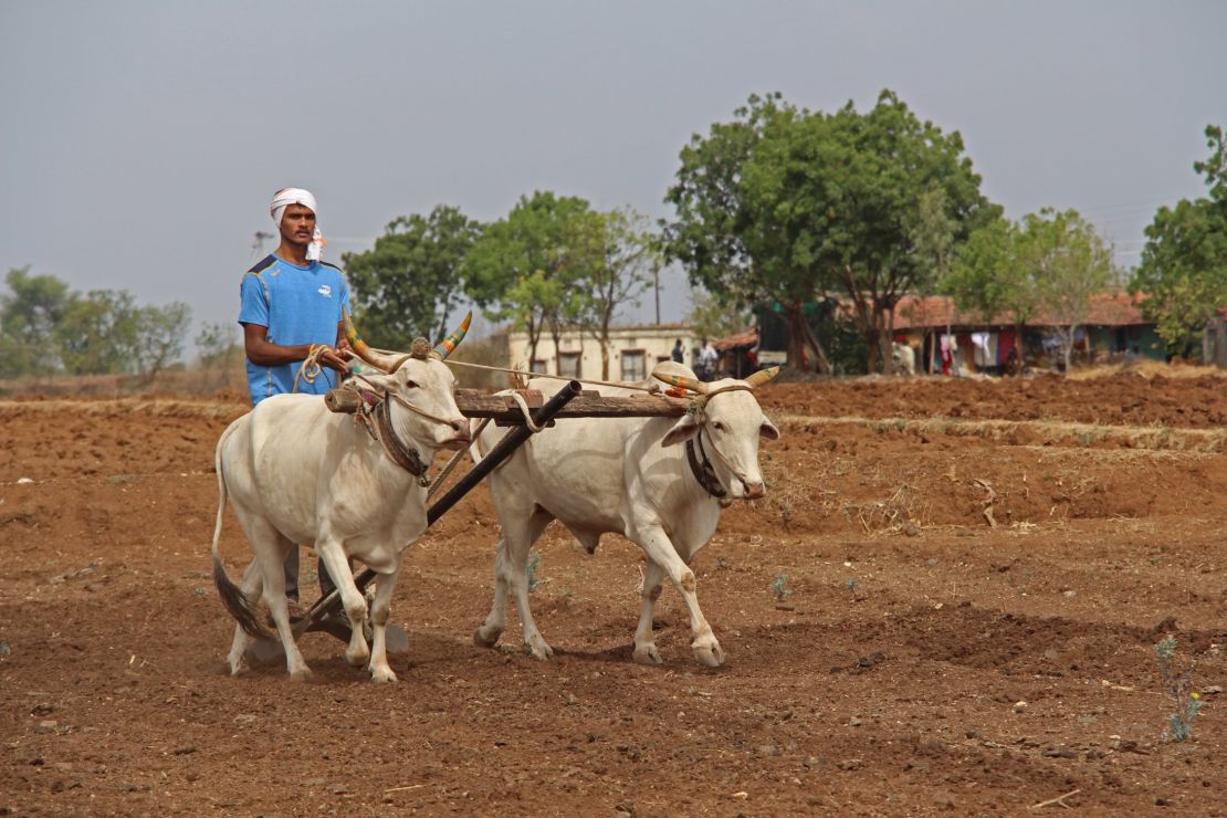 Dattu Bhokanal works on his family's farm in India's Maharashtra state. 