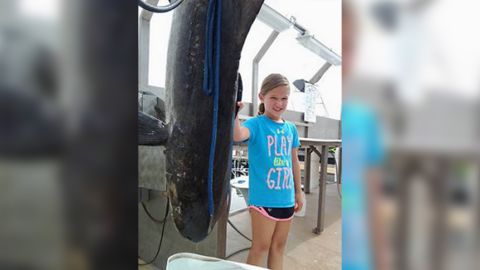 Emma Zajdel's catch has broken the Maryland cobia record.