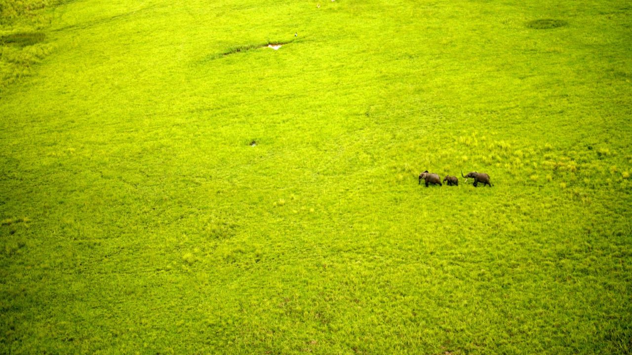 Conservationists have warned that the megaprojects could disrupt wildlife.