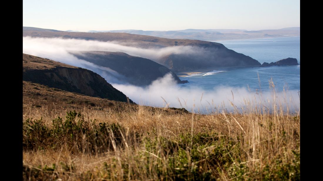 Nearby Point Reyes National Seashore boasts spectacular rocky headlands.  The park is crisscrossed with 150 miles of hiking trails and populated by more than 1,500 species of plants and animals.