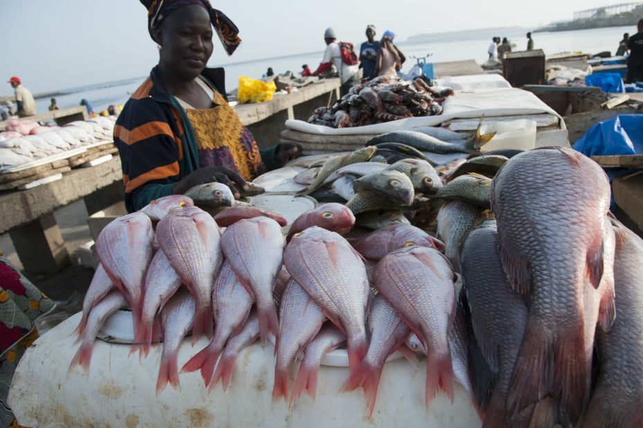 Woman at Soumbedioune fish market, Senegal. West Africa's coastline offers ideal conditions for fishermen, but several issues are holding back a blue economy there. 