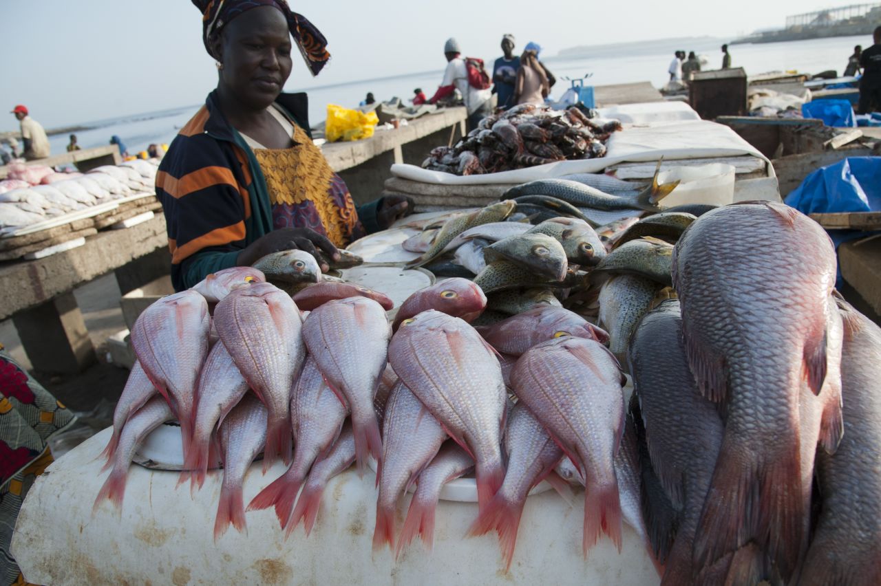 Woman at Soumbedioune fish market. Jobs preparing and drying fish are put at risk by illegal fishing. 